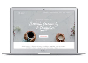 embiria-website-preview