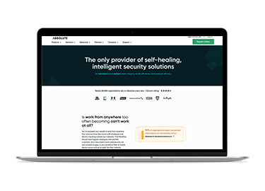Absolute Security — Website